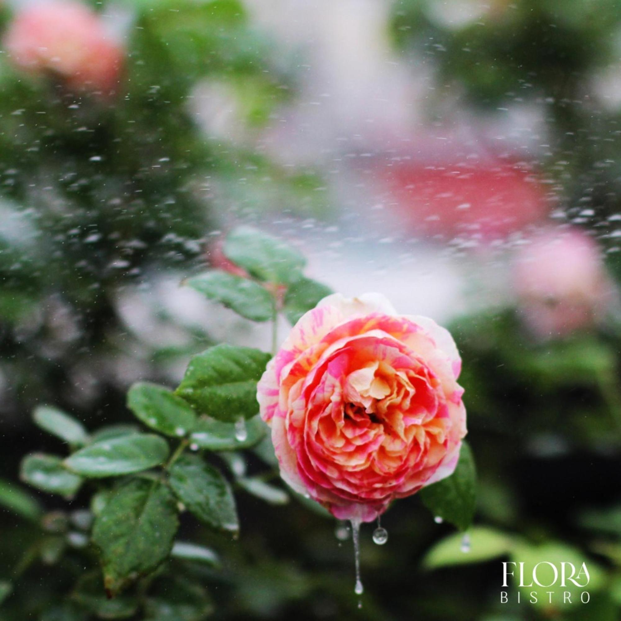 The Bloom Pham Viet Chanh - Modern Living Space In Saigon Bandar Ho Chi Minh Luaran gambar